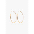 Studded Hoops 2"